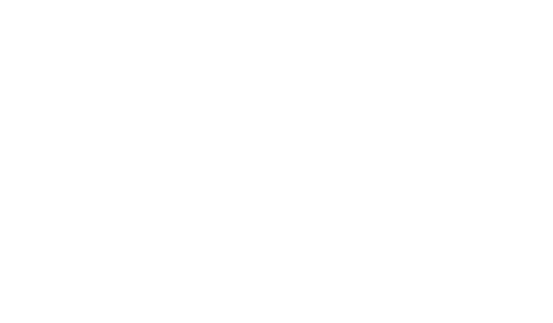 BlueOcean Technical Solutions Logo Whtie